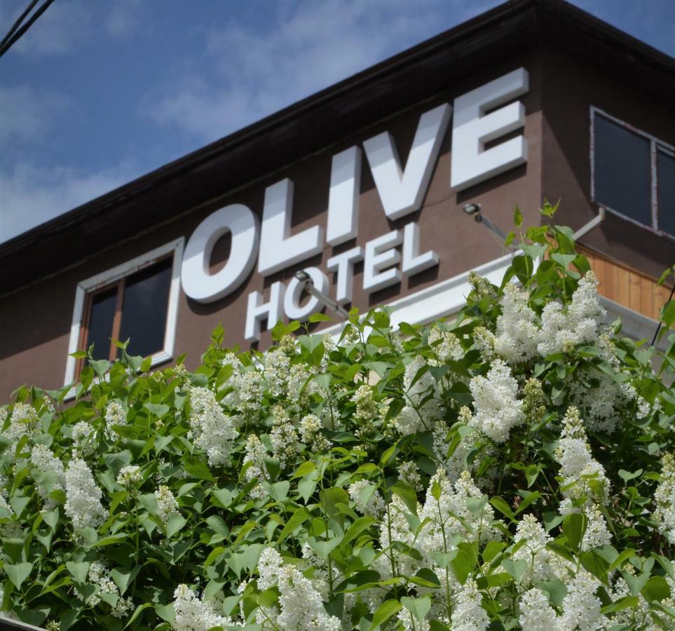 Olive Hotel בישקק מראה חיצוני תמונה
